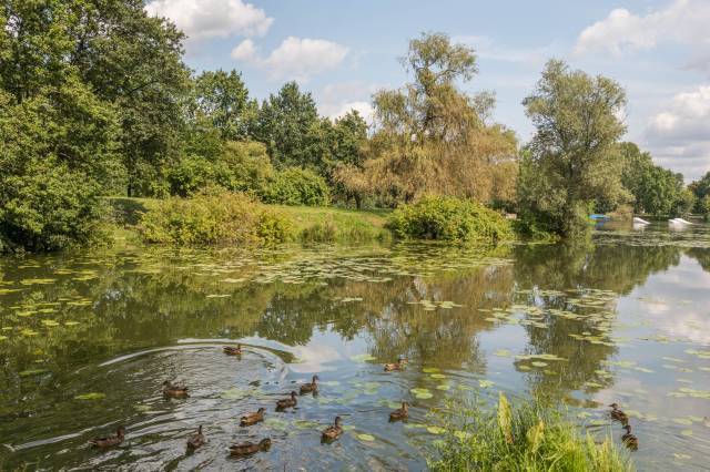 Park Kacza Górka